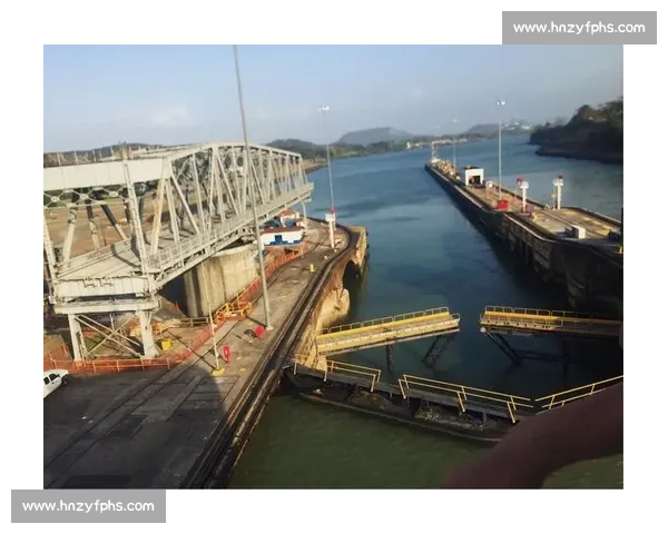 逆转风云背后的智慧与勇气传奇启示录与时代抉择思考人生奋斗篇章